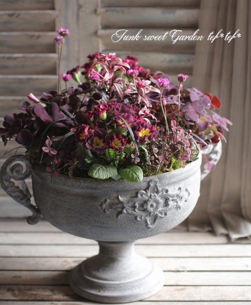 fiorina＊ スリクソン ZXi ハイブリッド Diamana ZXi for HYBRID