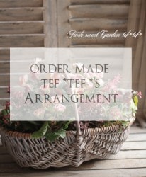 tef*tef*�Υ��������ᥤ�ɤδ󤻿���<BR>7980�ߥ�����