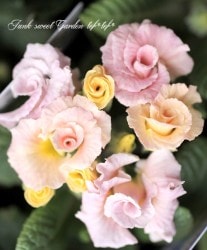 ���Ѥ�ꤷ�ƥ���ǡ������ �Х�餭�ץ��顦����ꥢ�� �إ��������