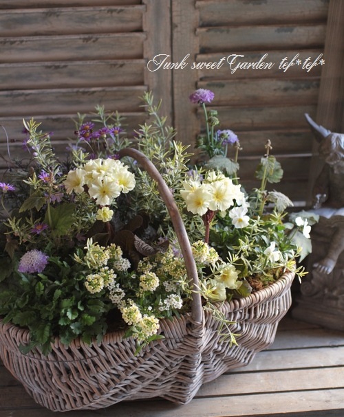 tef*tef*寄せ植え<BR>2015 * no30 *<BR><BR>クリーム×パープル花かご