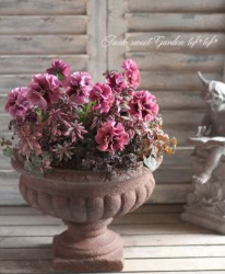 tef*tef*�󤻿���<BR>2015 * no37 *<BR><BR>�ե��ѥ󥸡���Ƽ��