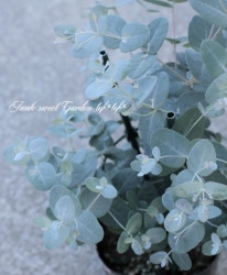 �桼���ꡡ�إ��ˡ���