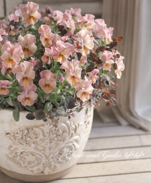 * antique mini ❀ 小さなお花柄 ラヴィエ (b) LITTLE GARDEN WATCH | LOV-IN BOUQUET（ラヴィンブーケ）