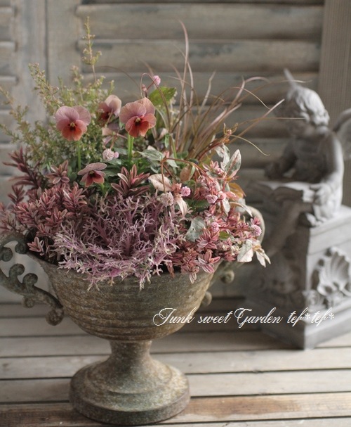 華やかエボルべの籠庭 寄せ植え tef*tef*寄せ植え<BR>2015 * no.114 *<BR><BR>エボルベ×カップポット