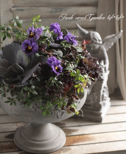 寄せ植えセット　ゆゆ様　ご注文　プティフール　ビオラ 寄せ植えセット ゆゆ様 ご注文 プティフール ビオラ ガーデニング