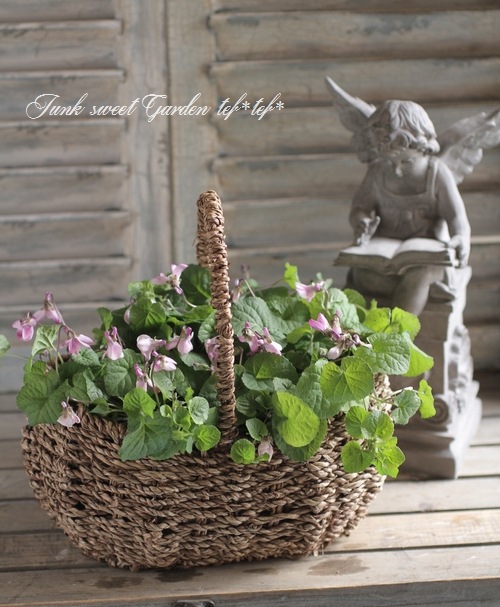 雑貨】 ブラウン色 ナチュラルバスケット 縦ハンドル | バスケット