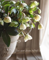 ������ۥ��ꥹ�ޥ������� �إ����󥿡��٥������������������إ٥�餭����餭