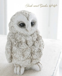 �ڻ��ߡ� �쥸�󡦥ۥ磻�ȥ�����