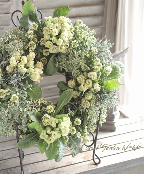 Tef Tef 寄せ植え Br 16 No 2 Br Br アリッサム プリムラ ライム リース 寄せ植え Junk Sweet Garden Tef Tef