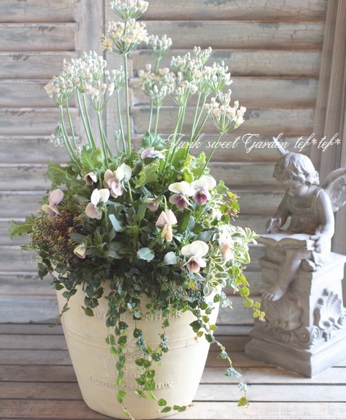 tef*tef*寄せ植え<BR>2016 * no.30 *<BR><BR>『Mr.グリニッシュ×黄萌