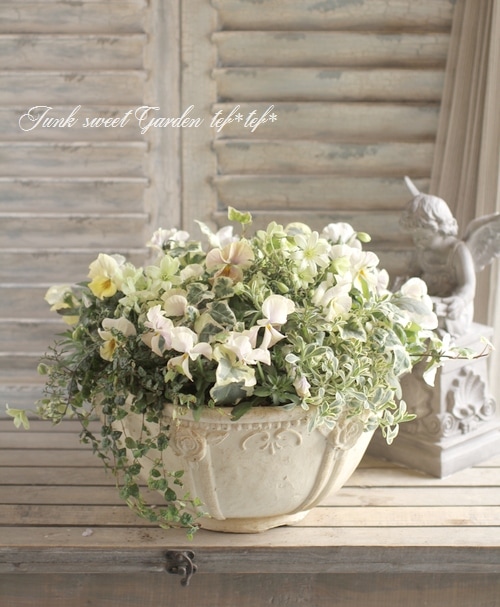 tef*tef*寄せ植え<BR>2016 * no.34 *<BR><BR>『クレマチス×エボルベ