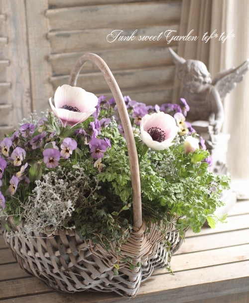 アネモネ 国内5月15日発売予定】アトモス × アディダス オリジナルス ZX8000 