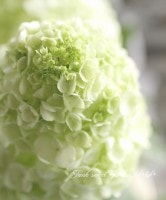 ���ջ��۲֡�����ѥ����ʼ�إϡ���ˡ���