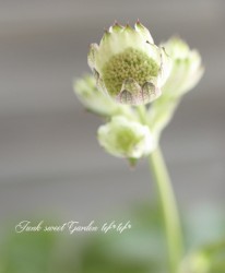 ȥ㡡إڡԥ󥯥ϥ֥åȡ