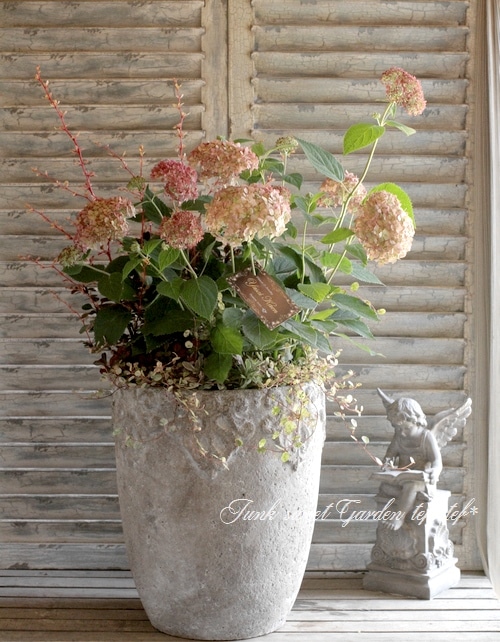 Tef Tef 寄せ植え 16 Br No 44 Br 大きめの紫陽花 ピンクアナベル 寄せ植え Junk Sweet Garden Tef Tef
