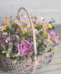 tef*tef*�󤻿��� 2016<BR> * no.71 *<BR>��ǯ��͵��Υԥ󥯡ߥ�������