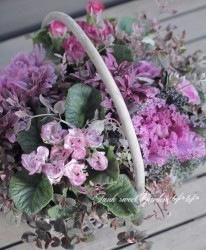 tef*tef*�󤻿��� 2016<BR> * no.72 *<BR>�ץ��顦�֥饦�����ͥԥ�