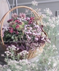 tef*tef*�󤻿��� 2017<BR> * no.4 *<BR>�礭��ΥХ����å�