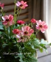 ʥ󥭥饹å꡼إꥭ奢١