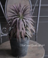 ��å����إǥ���ƥ������ʡ١�No.B