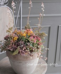 tef*tef*�󤻿��� 2017<BR> * no.7 *<BR>�֥饦��