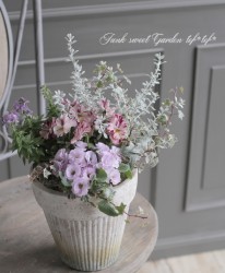 tef*tef*�󤻿��� 2017<BR> * no.8 *<BR>����С��ߥԥ�