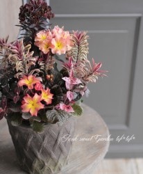 tef*tef*�󤻿��� 2017<BR> * no.9 *<BR>���ץꥳ�åȡߥ֥饦��