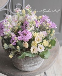 tef*tef*�󤻿��� 2017<BR> * no.12 *<BR>�տ��ԥ�