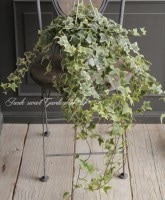 Ķ���󥰻�Ω�ơ�������إǥ顡�إ��꡼��� No.G