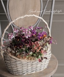 tef*tef*�󤻿��� 2017<BR> * no.15 *<BR>��ͥԥ󥯥Х����åȡ�no3