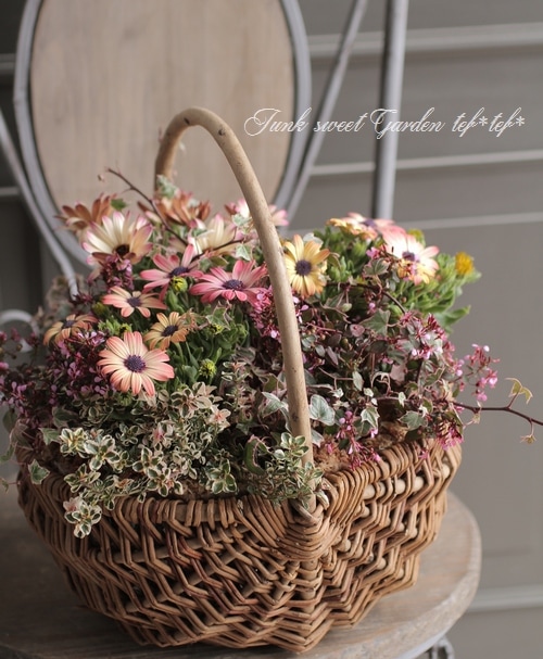 寄せ植え　花■みつばちと花畑 持ち込みの鉢へ寄せ植えは 基本お任せのみとなります。 ぜひ好きな花を
