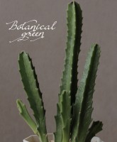 ¿����ʪ�������ڥꥢ �إ�����ƥ�����