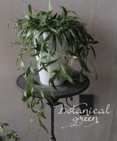 �ۥ䡡�إ��ǥåƥ����١����տ�ʪ��¿����ʪ