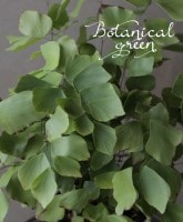 ���դΥ������󥿥ࡡ�إڥ�ӥ��ʥ��