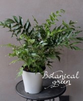 ����ȥߥ��ࡡ�إե��륫�ĥ�١����˥�֥��ƥ�