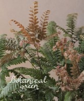 �������󥿥ࡡ�إ�Υ��顼��