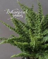 �ͥե���ԥ����إ��꡼��ե��󥿥����١����ޥ���