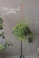 ��ץ��ꥹ���إ����å��١������ܥƥ�