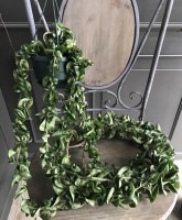 �ۥ䡦����Ρ������إ���ѥ����١��㴳�����ꡪ