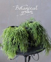 ��ץ��ꥹ���إ����å��١������ܥƥ󡡥ܥ�塼��L