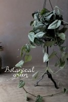 ץԥإȥӡ١إȥ쥦ӡ