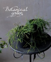 ��ץ��ꥹ���إ����å��١������ܥƥ󡡥ܥ�塼��SS