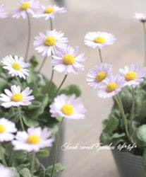 󥰥åǡإζ إ饤ȥ֥롼