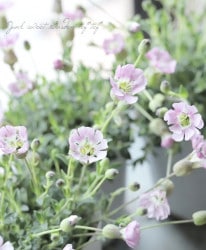 ����͡���˥ե����顡�إ��奨���