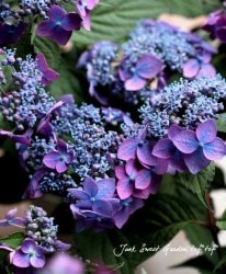 �ڵȲ���Ҥ���ۡ������۲֡�����ɱ -�����ҥ�-��