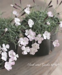 ˾إʥǥ󥵥إȥ를ե