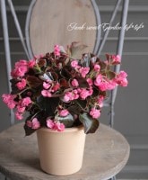 Ȭź餭إ٥˥إ֥åȡ١