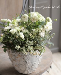 tef*tef*�󤻿��� 2017 * no.20 *���إ��꡼�󥢥�����