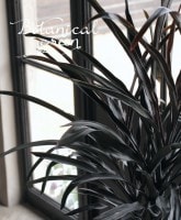 Ķ�����ʼ�������른��͡��إ֥�å����ѥ�������