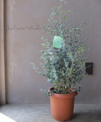 �桼���ꡡ�إ��ˡ��١��������